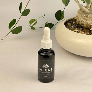 جلبک دریایی